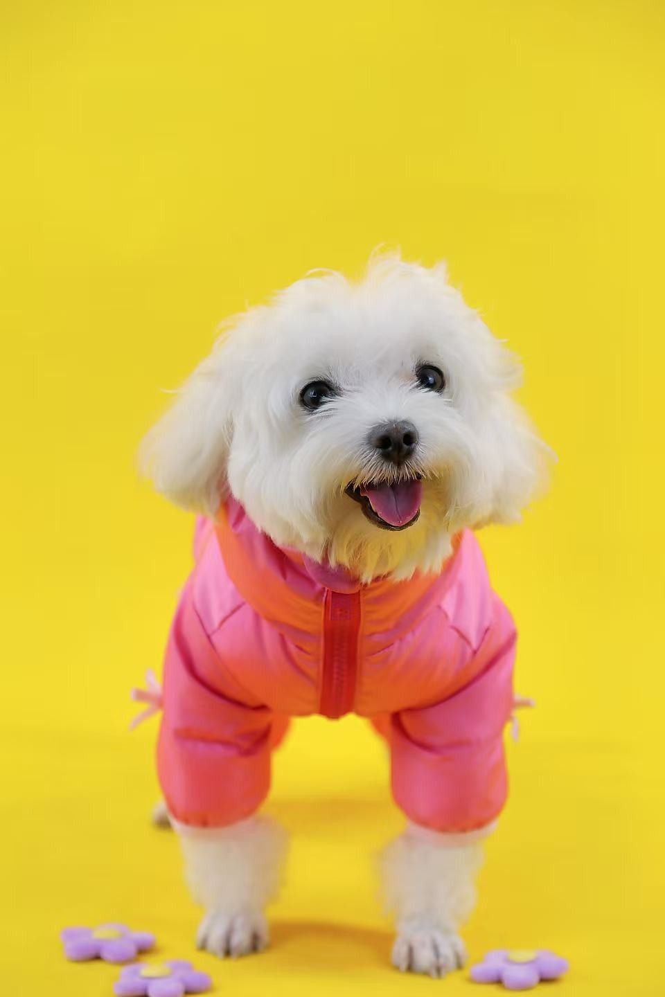 潮趣相伴23