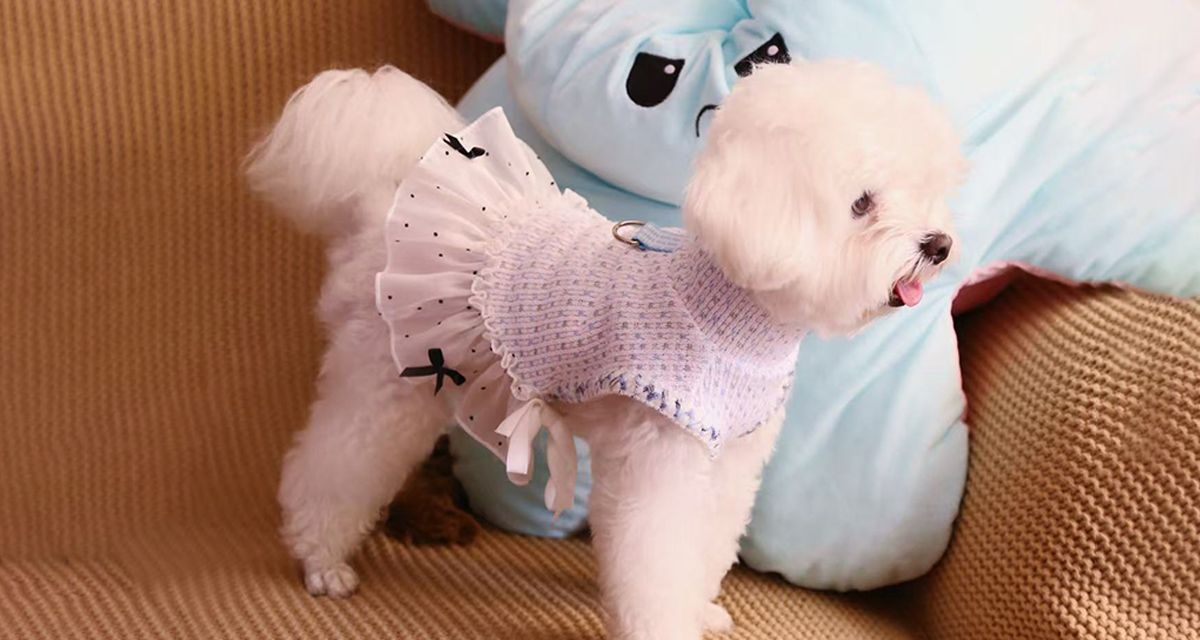  Other Pet Supplies