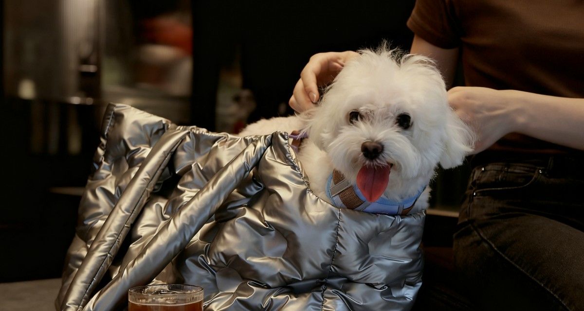  Pet Bags