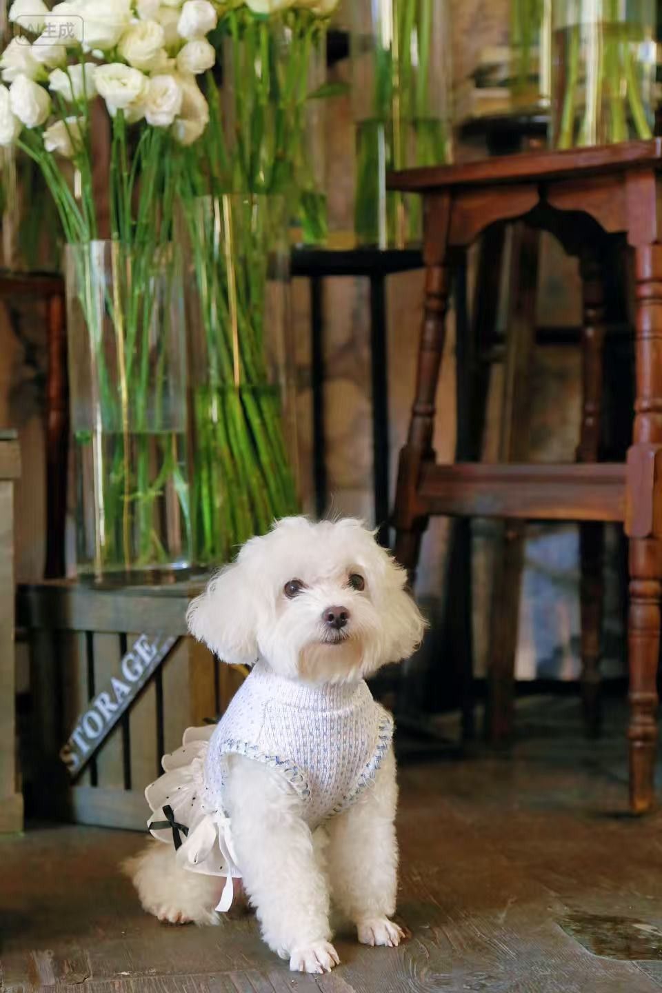 潮趣相伴21