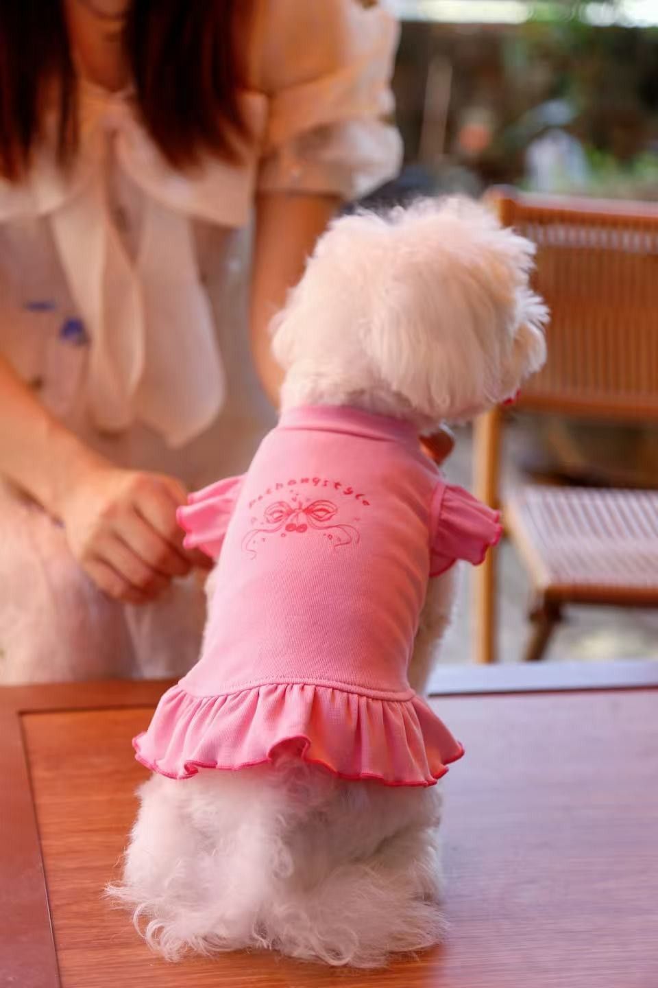 潮趣相伴17