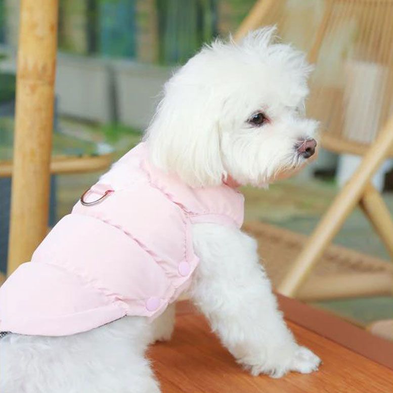 Thermal Insulated Dog Padding