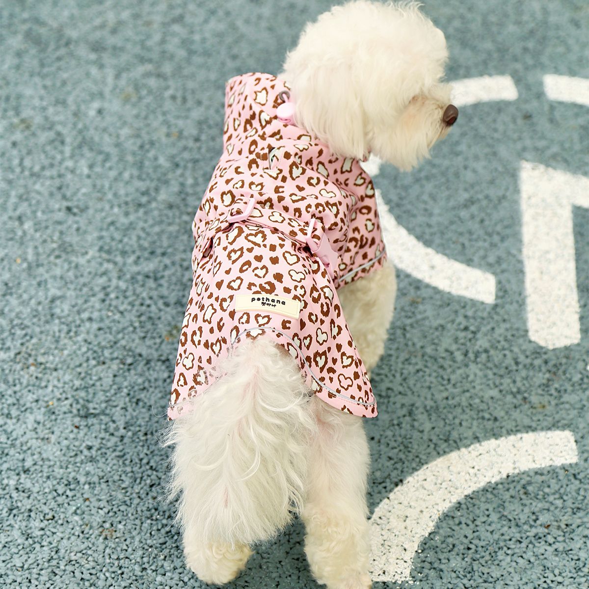Pet Raincoat With Snood